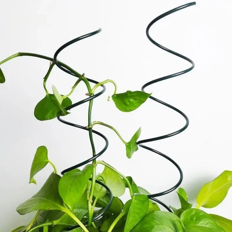 Опоры для вьющихся растений, п – обзор и цена Bonsai Garden Plants