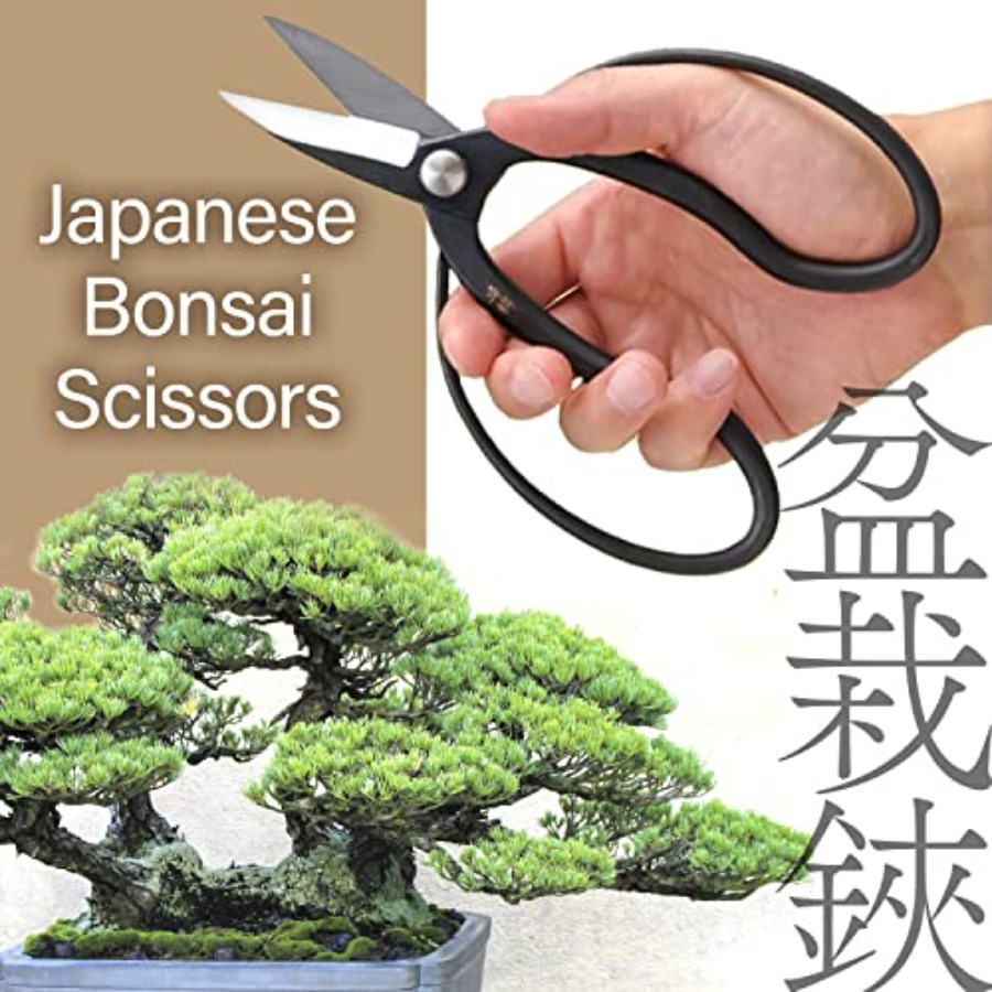 Японские ножницы для бонсай Su – обзор и цена Bonsai Garden In Japan