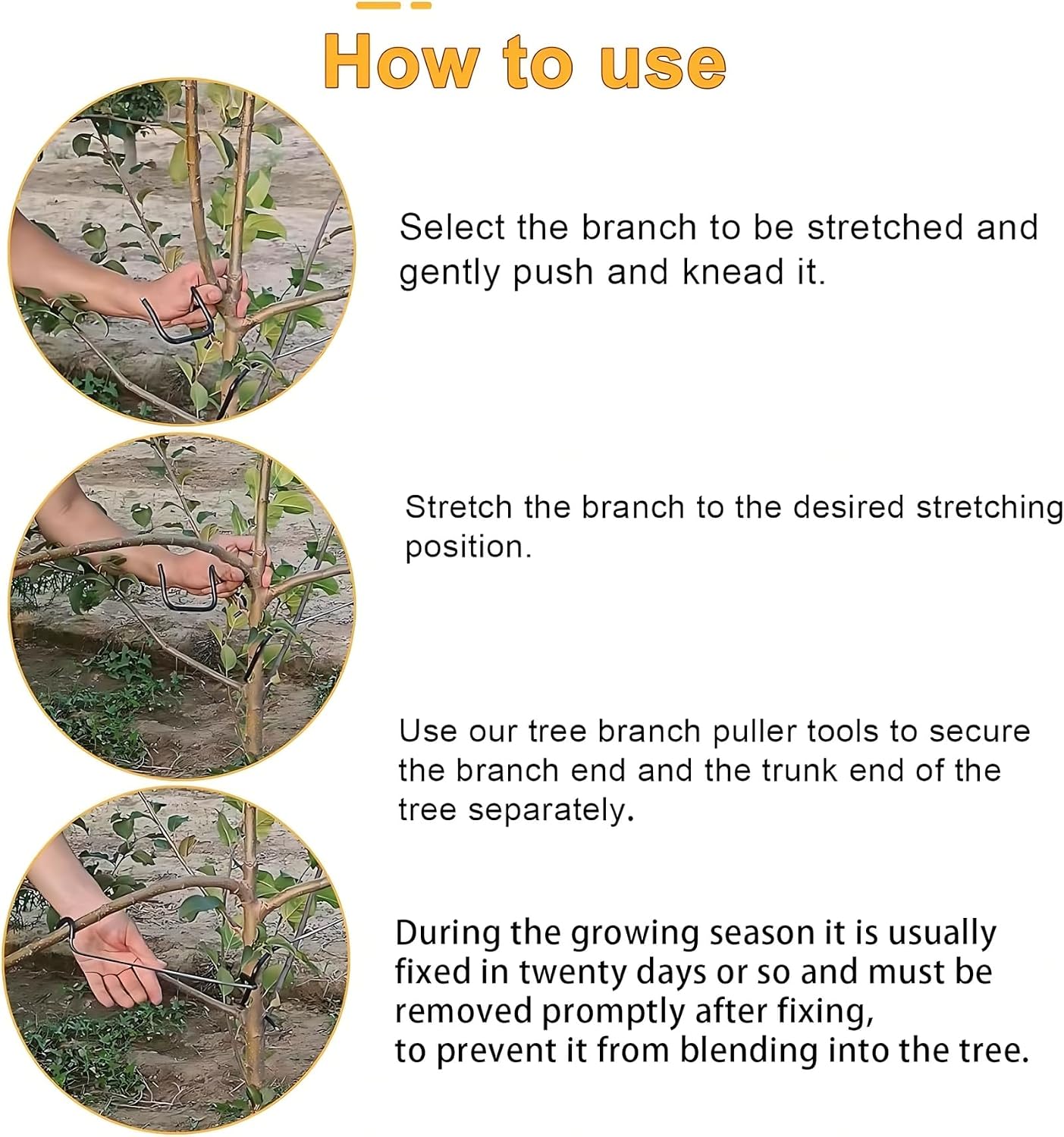 Регулируемый формирователь вет – обзор и цена Bonsai Garden Plants
