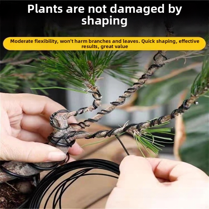 Алюминиевая проволока для бонс – обзор и цена Bonsai Garden Plants